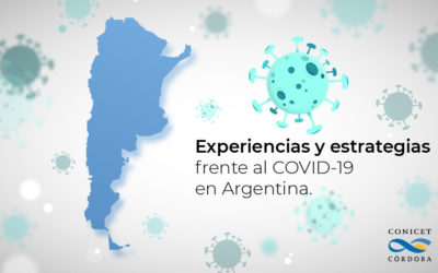 Estudios sobre experiencias y estrategias frente al Covid 19 en Argentina